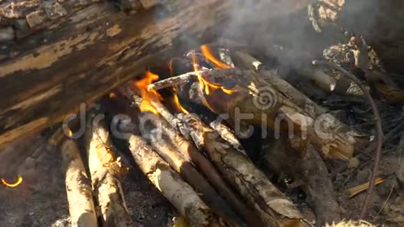 野餐时篝火燃烧露营徒步旅行夏日视频的预览图