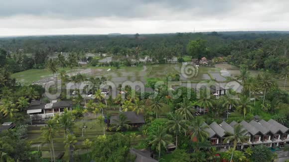 从空中俯瞰豪华酒店带草屋顶别墅和热带丛林的游泳池棕榈树稻田视频的预览图
