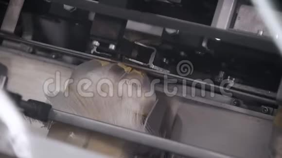 关闭机器包装冷冻饺子的镜头生产半成品的现代化工厂视频的预览图