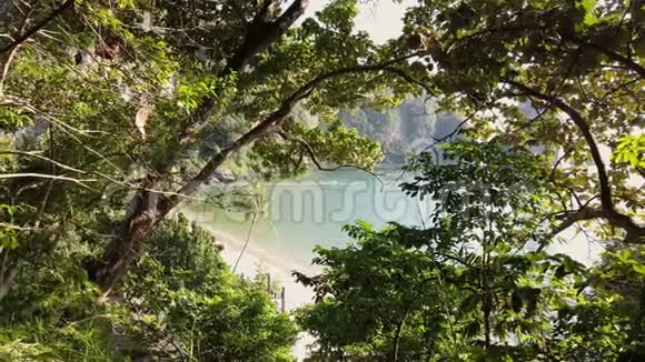 透过绿色热带树木的树枝观赏森塔拉海滩和海洋视频的预览图