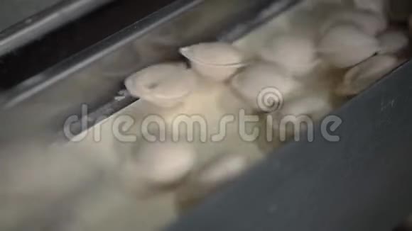 自动机器生产工艺在饺子厂新鲜的生培梅落在传送带上工业视频的预览图