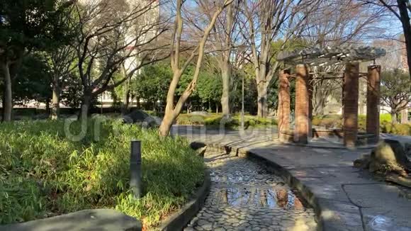 日本公园东京景观视频的预览图