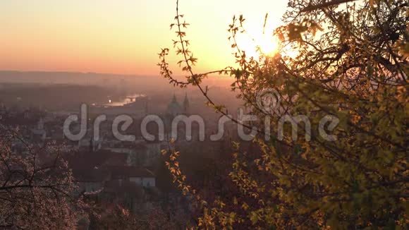 春天日出时布拉格天际线的风景从彼得林山看到的圣维特和圣尼古拉教堂的塔视频的预览图