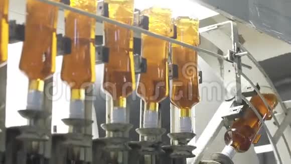 在植物的玻璃瓶中溢出酒精饮料工厂酒厂生产线上的玻璃瓶视频的预览图