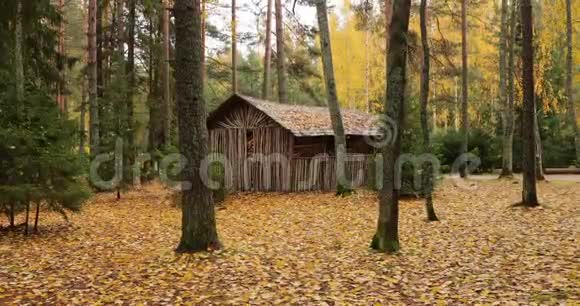 森林小屋在后林野生地区在美丽的森林在秋天瓦尔达国家公园黄叶在地面视频的预览图