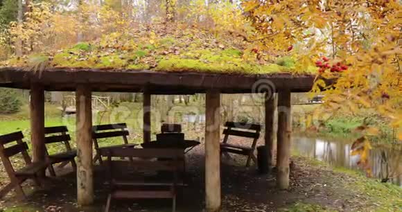 森林小屋在林后木木乔木树枝与红山灰的浆果美丽的森林在秋天情人节视频的预览图