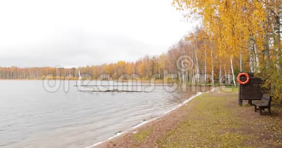 湖上的长墩博罗耶湖上的秋天俄罗斯瓦尔达国家公园慢动作视频金色的树视频的预览图