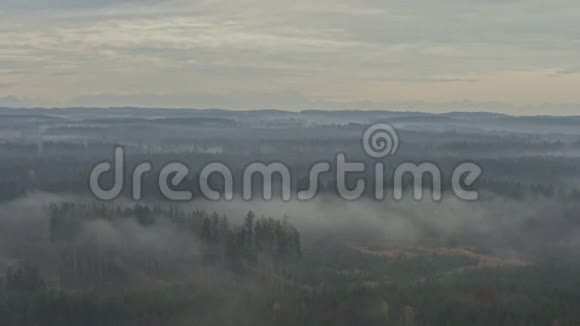 日出前不久德国森林的雾状景色被放大视频的预览图