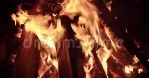 大火在晚上用柴火篝火在晚上燃烧火花火苗是许多红色的木煤视频的预览图