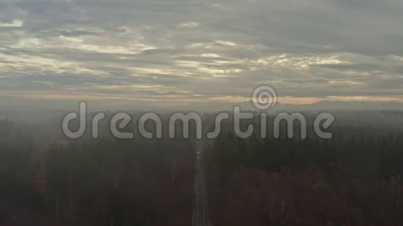一群车正开着车穿过一片秋日气氛朦胧的森林无人机在清晨拍摄视频视频的预览图