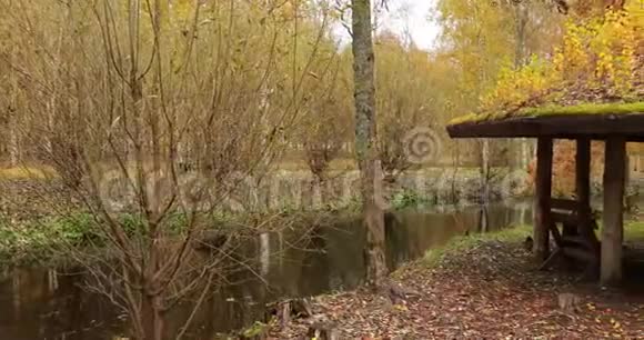 森林小屋木树秋天美丽森林的野生地区水中的镜面反射瓦尔代视频的预览图