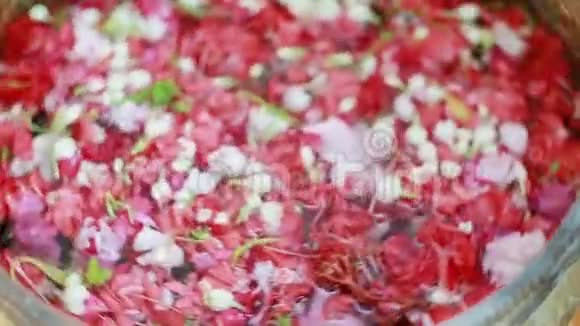 红色的玫瑰花瓣漂浮在水中视频的预览图