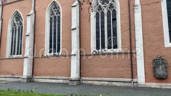 阳光明媚的日子鸽子坐在布伦瑞克市的教堂窗户前飞翔视频的预览图