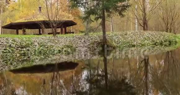 森林小屋木树秋天美丽森林的野生地区水中的镜面反射瓦尔代视频的预览图