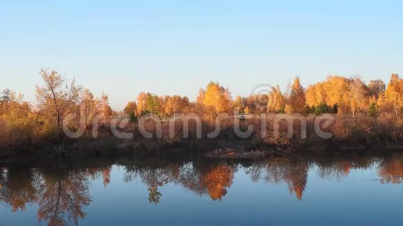 秋天的橙黄色森林在湖岸的阳光下在傍晚视频的预览图
