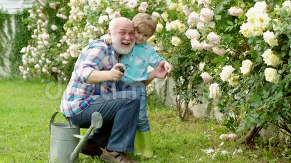 农场家庭一位祖父和一位蹒跚学步的孩子正在花园工作生活方式和家庭生活专业园艺师视频的预览图