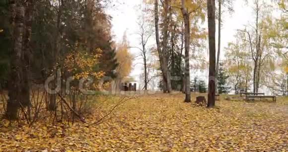 秋季博罗耶湖沿岸地区景观湖面上的码头俄罗斯瓦尔达国家公园全景影像金色视频的预览图