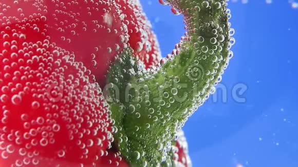 红铃椒特写宏观在水下选择性聚焦成熟多汁的蔬菜视频的预览图