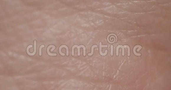人类皮肤特写的宏观视角视频的预览图