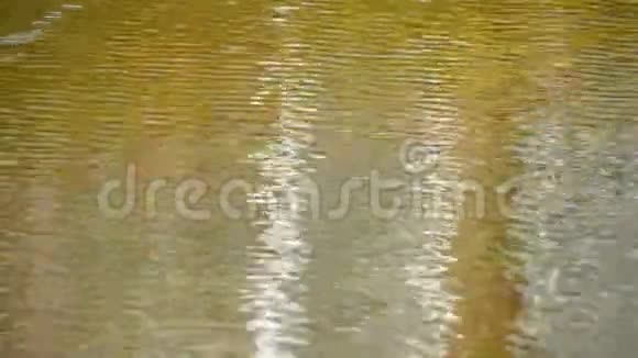 棕色水波波波纹运动面为背景视频的预览图