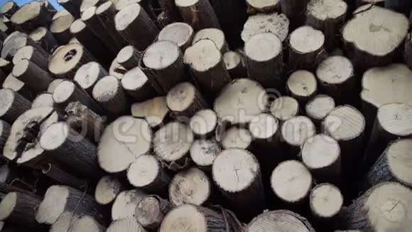 一堆木头工业木材储存已经爆炸的树干樵夫剪树干木材堆放全景视频的预览图
