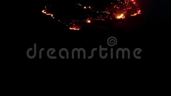 天然布什火在夜间燃烧黑夜中的火焰空中飞弹视频的预览图
