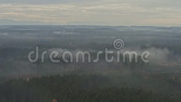美丽的早晨在德国南部巴伐利亚的秋天雾笼罩着一片绿色的森林视频的预览图