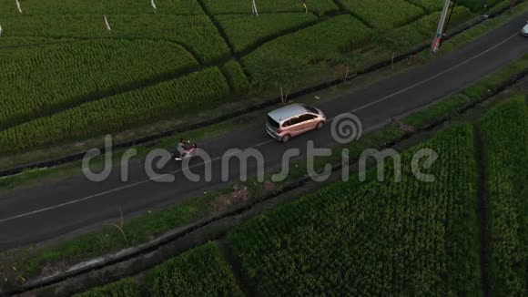 在阳光下稻田的绿色植物中有汽车和摩托车的道路俯视无人机在乡村上空飞过视频的预览图