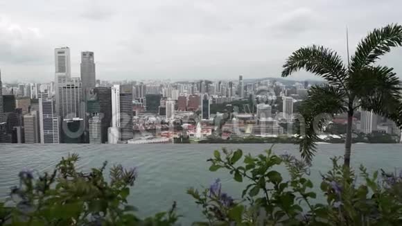从无限泳池中欣赏新加坡的美景视频的预览图