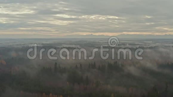 在雾蒙蒙的森林上的山景在秋天的日出时一架无人机在4k的定义中捕捉到了Ne视频的预览图