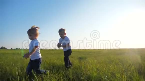 小朋友在一个夏天的草地上奔跑金发兄妹在户外玩得很开心视频的预览图