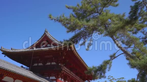日本奈良的一座大佛像塔台寺视频的预览图