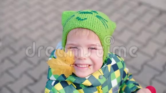 一个穿着绿色衣服的英俊男孩牙齿里长着一片黄色的枫叶视频的预览图
