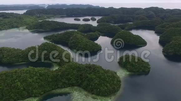 帕劳和科罗岛地区背景是许多小岛珊瑚礁和泻湖III视频的预览图