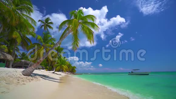 带着异国风情的椰子棕榈树的热带海岛海滩上壮观的海上日出视频的预览图