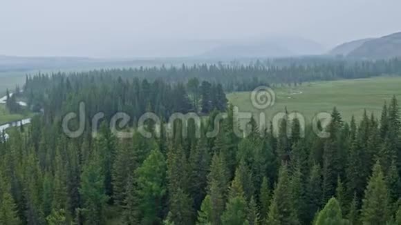 远处丘陵山地马下雾蒙蒙的森林景观视频的预览图