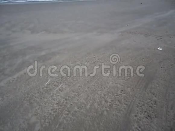 沙尘暴普拉亚格兰德圣保罗巴西视频的预览图