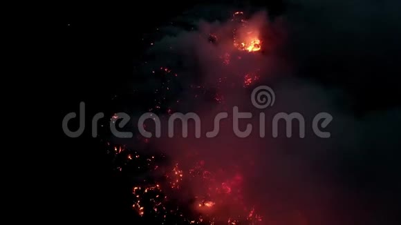 天然布什火在夜间燃烧黑夜中的火焰空中飞弹视频的预览图