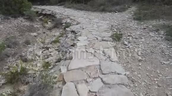 在圣皮埃特罗岛上的地中海植被中第一个人在古老的铺路石遗迹上被射杀视频的预览图