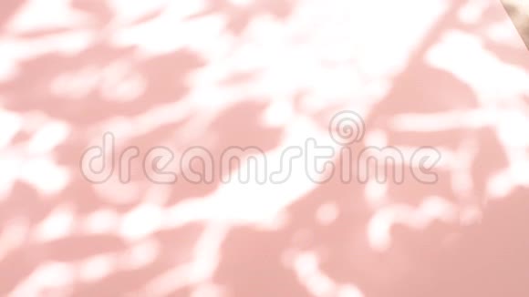 空的粉红色背景与移动的阴影视频的预览图