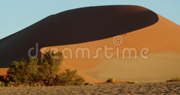 巨大的沙丘人们走在上面看着日出纳米布沙漠视频的预览图