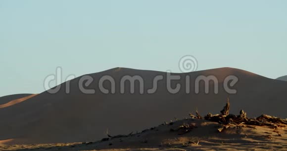 纳米布沙漠巨大沙丘的全景日出纳米比亚4k视频的预览图