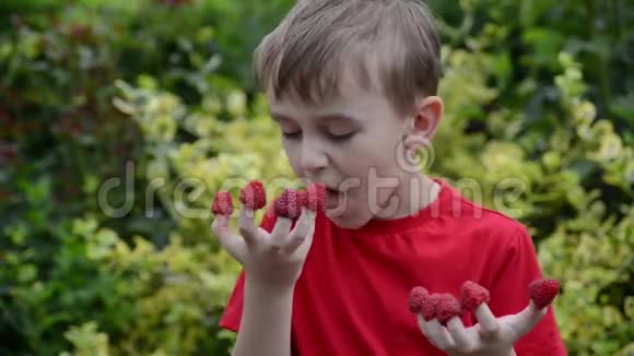 快乐男孩用手指吃树莓可爱的孩子在花园里玩得很开心健康生活方式家园花园丰收小孩免费吃视频的预览图