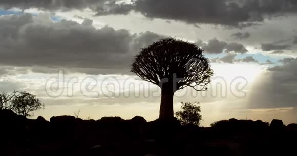 绚丽的天空云层与阳光之间的空隙使树木颤动视频的预览图