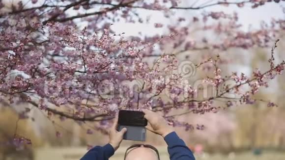 日本樱花盛开的秃头老男性旅游照片视频的预览图