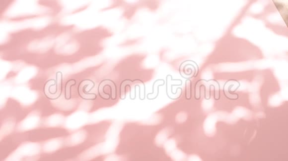 空的粉红色背景与移动的阴影视频的预览图