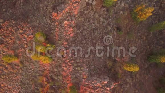 山腰岩石上的俯视风景有几棵绿树日落4k视频的预览图
