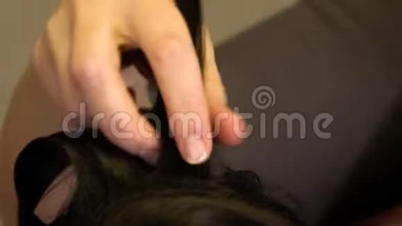 造型师把一个黑发女孩卷曲的头发剪直视频的预览图