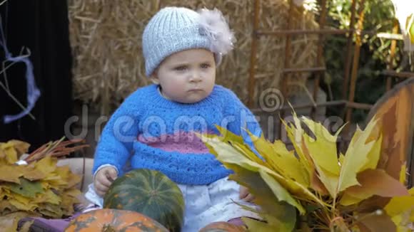 女婴坐在秋叶的背景上视频的预览图