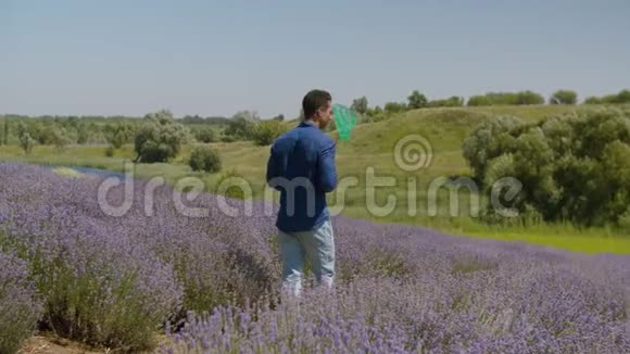 欢乐的人在田野里捉蝴蝶视频的预览图